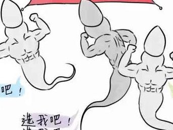 泰国三代试管总费用详解，为您的生育计划加分