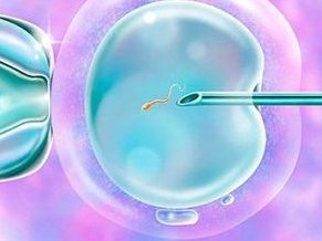 厦门试管婴儿费用大约多少钱？