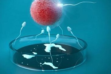 2026年没有卵泡可以在黄石市中心医院做三代试管吗？大概要花费多少钱？