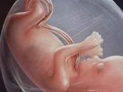 2026郑州靠谱试管婴儿助孕机构有哪几家？为你强推的是这4家