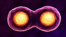 安徽试管婴儿费用揭秘，一般需要3-5万元