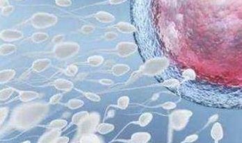 多囊卵巢做试管流程及费用，多囊卵巢做试管的成功率高吗？