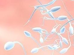 上海三代试管机构有几家？